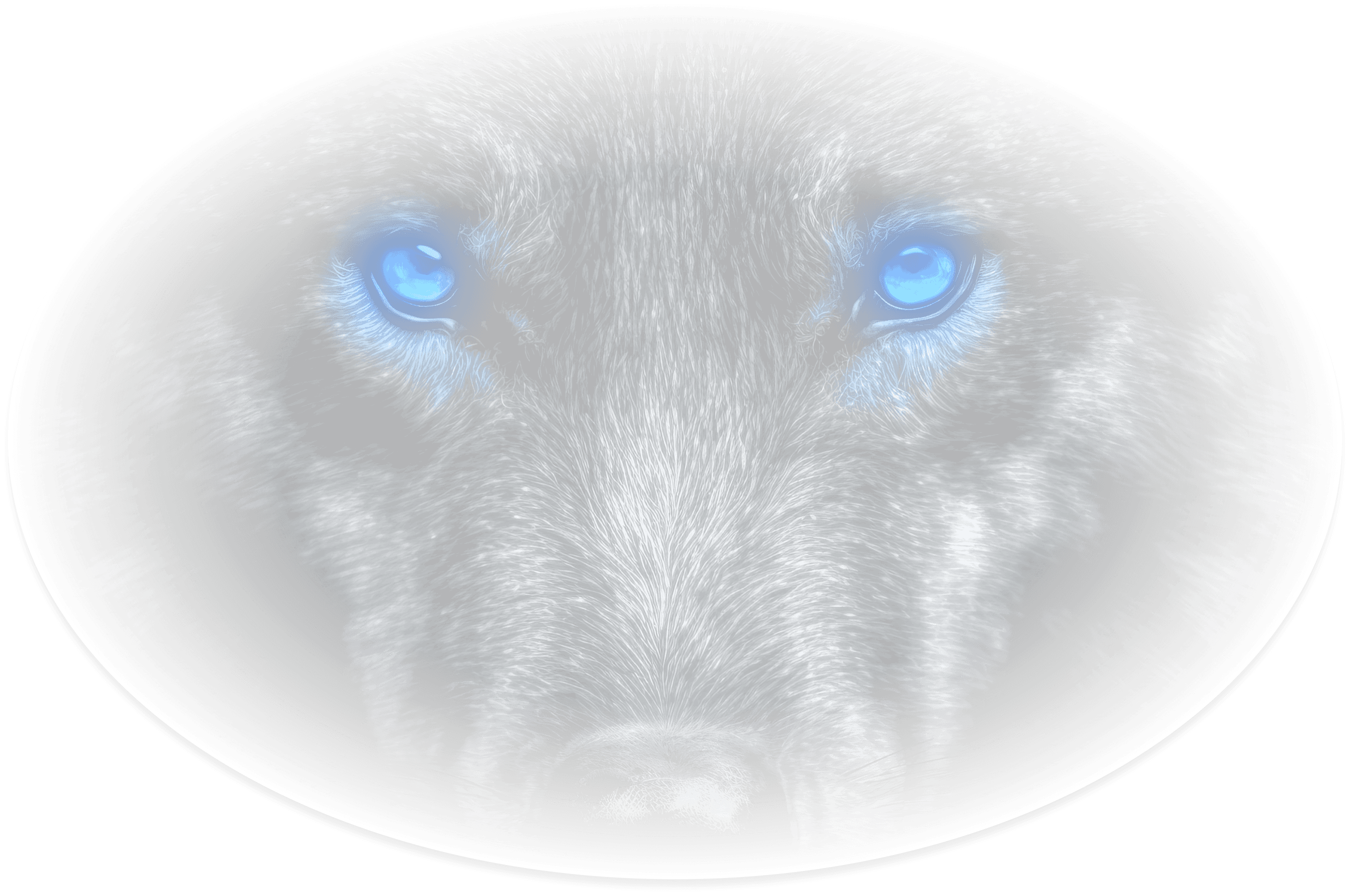 Wolf Eye